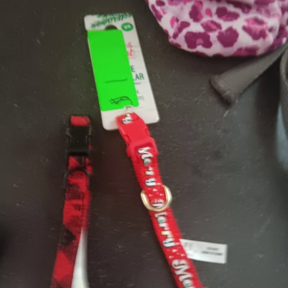 Leashes - Picture 4 of 15